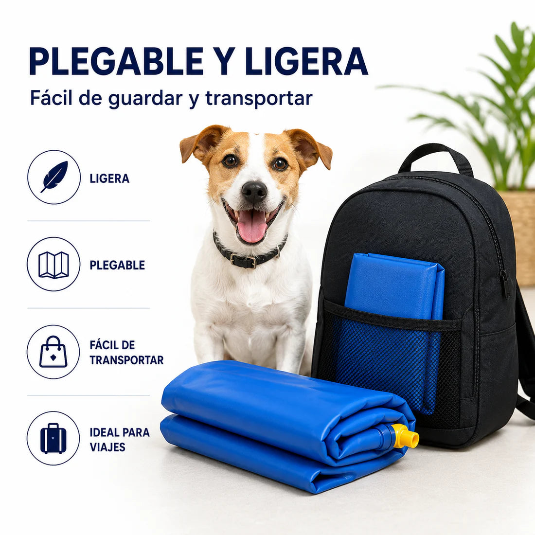 Alfombra aspersor mascotas