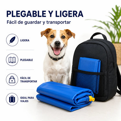 Alfombra aspersor mascotas